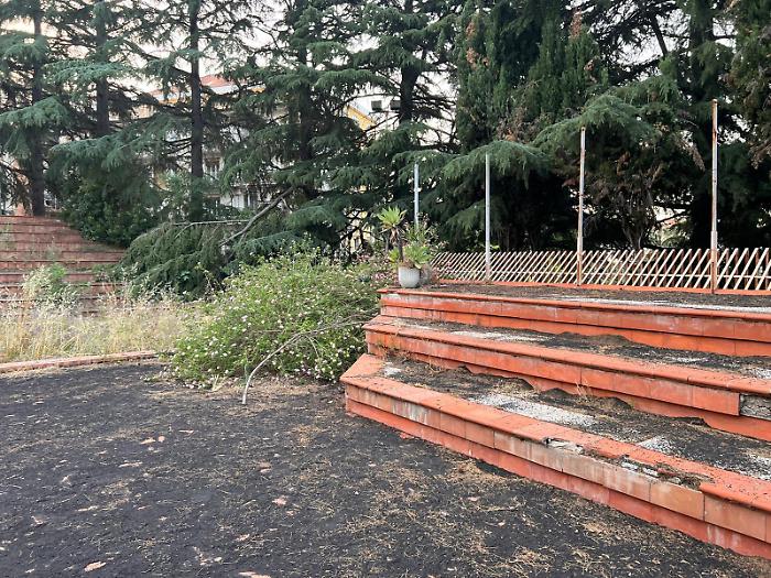 WhatsApp Image 2024-08-13 at 09.47.00