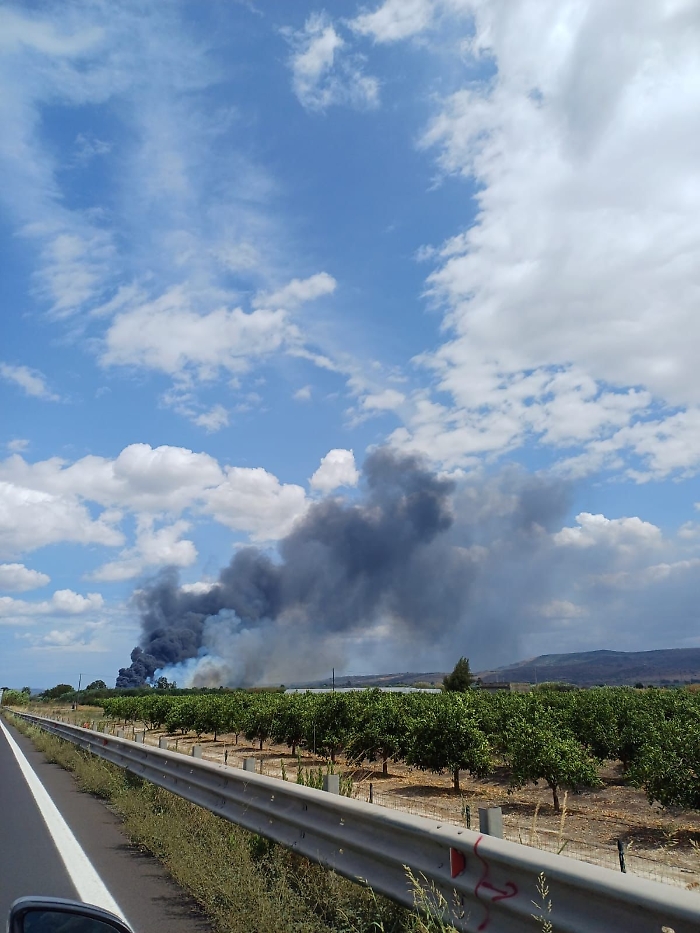 WhatsApp Image 2024-08-20 at 15.31.35