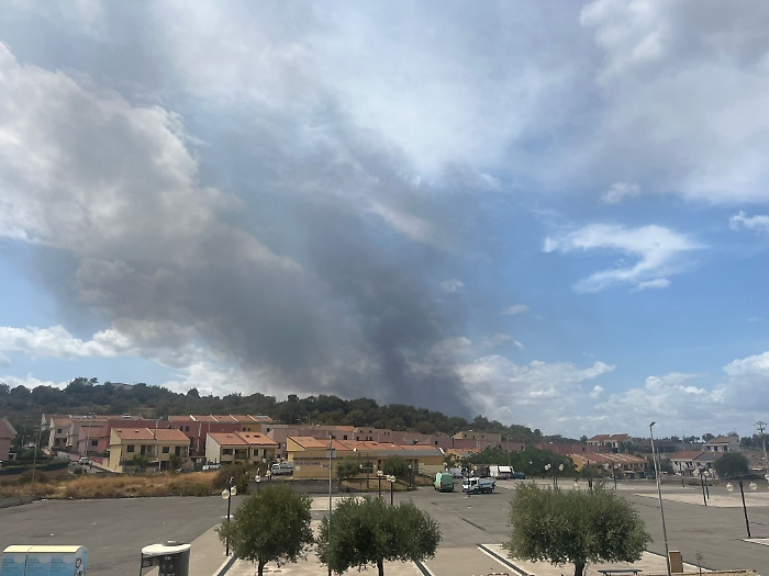 WhatsApp Image 2024-08-20 at 15.42.38