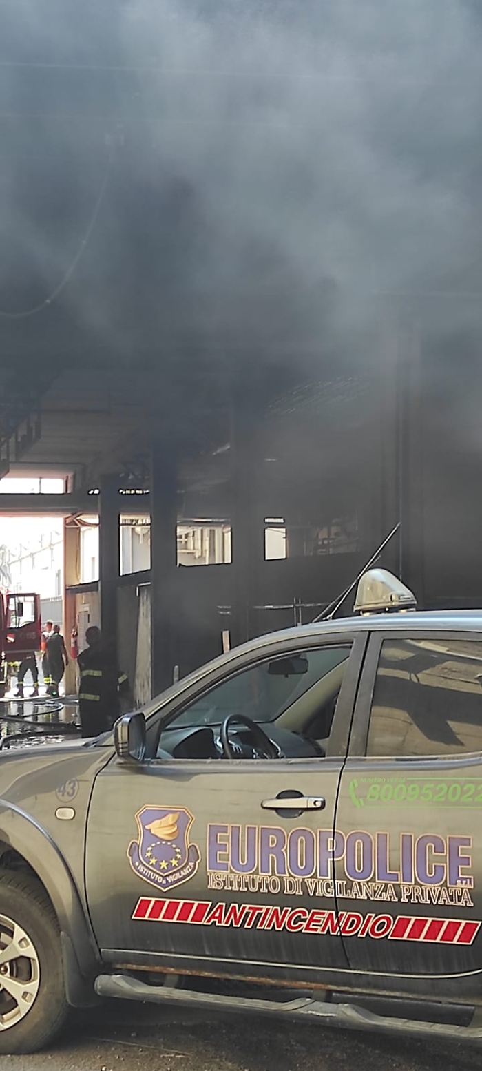 WhatsApp Image 2024-08-30 at 14.30.49 (1)