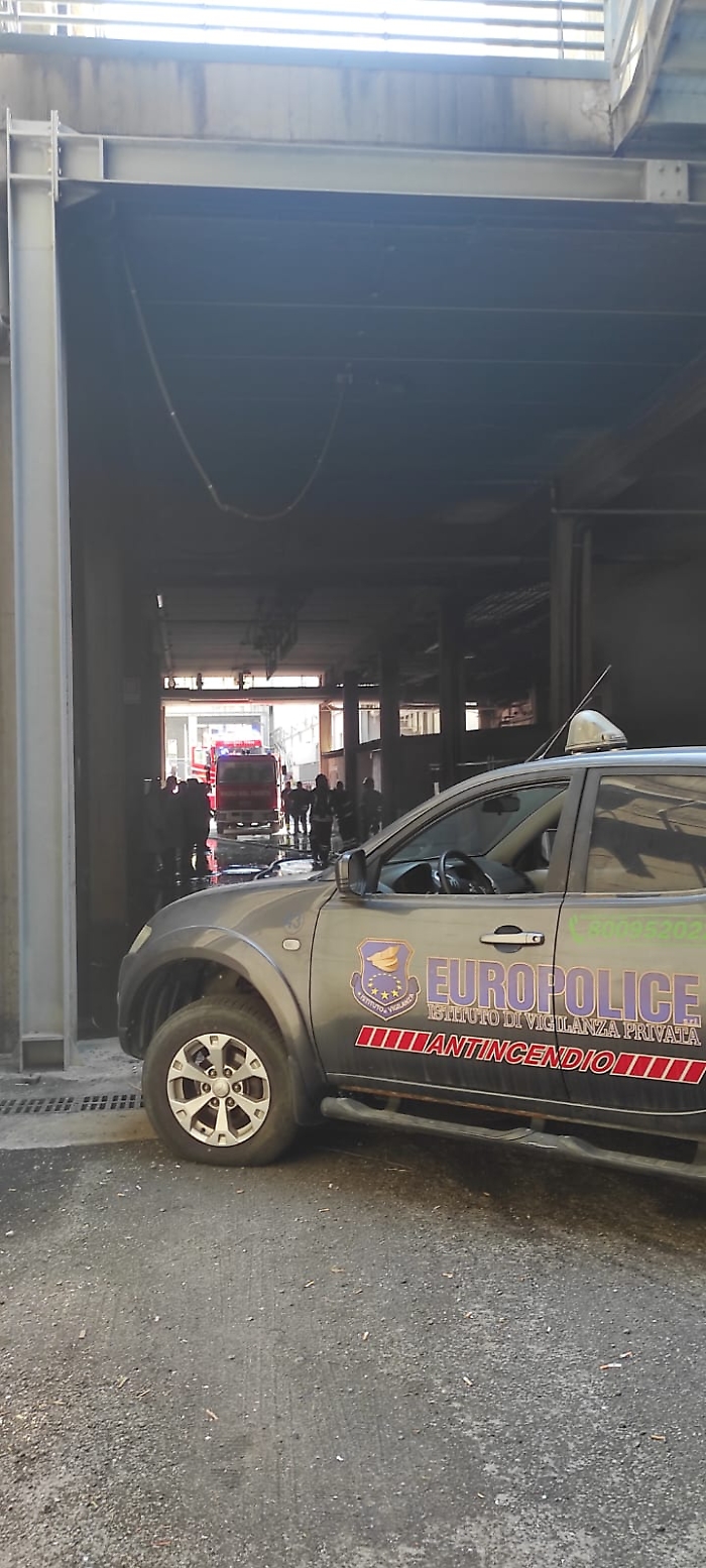 WhatsApp Image 2024-08-30 at 14.30.49 (2)