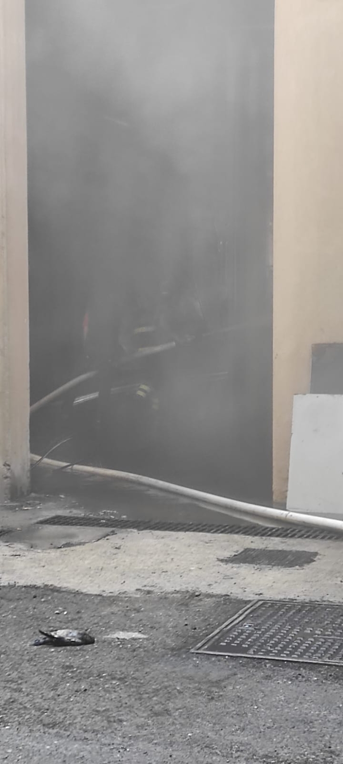 WhatsApp Image 2024-08-30 at 14.30.49