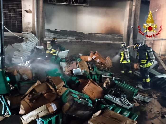 WhatsApp Image 2024-08-30 at 15.00.02