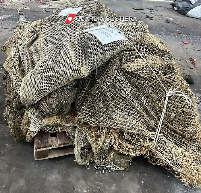 IMG-20240829-WA0047 (002)Log