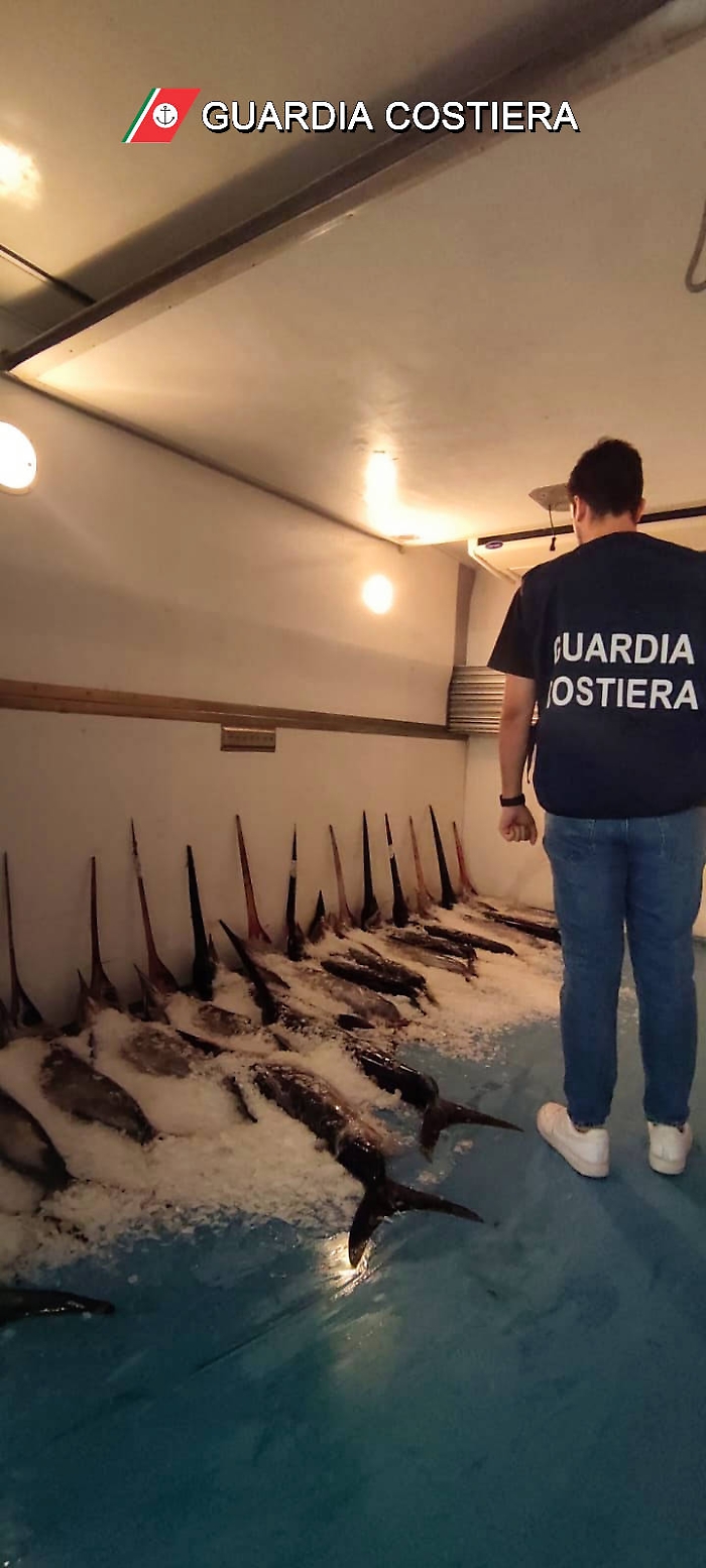 IMG-20240911-WA0016Log