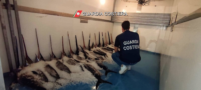 IMG-20240911-WA0017Log