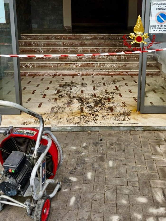 WhatsApp Image 2024-09-20 at 11.44.20