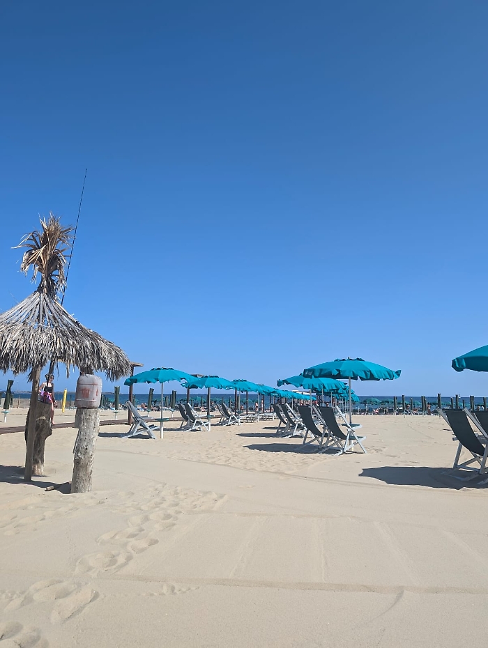 WhatsApp Image 2024-09-28 at 13.16.43