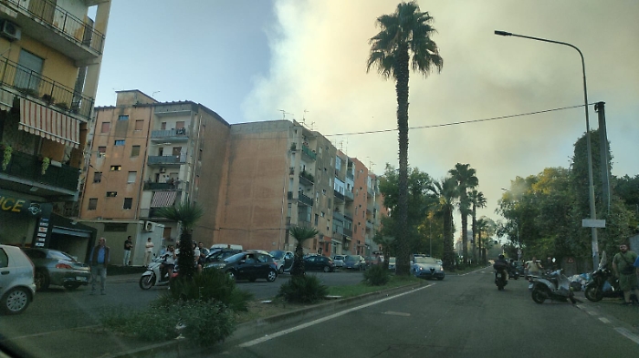 WhatsApp Image 2024-09-30 at 18.05.03