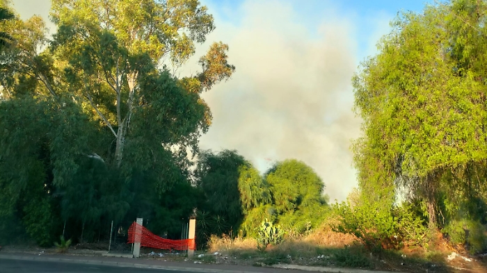 WhatsApp Image 2024-09-30 at 18.05.04 (3)