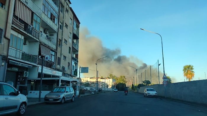 WhatsApp Image 2024-09-30 at 18.05.04