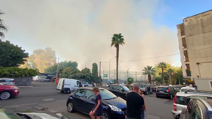 WhatsApp Image 2024-09-30 at 18.05.05 (1)