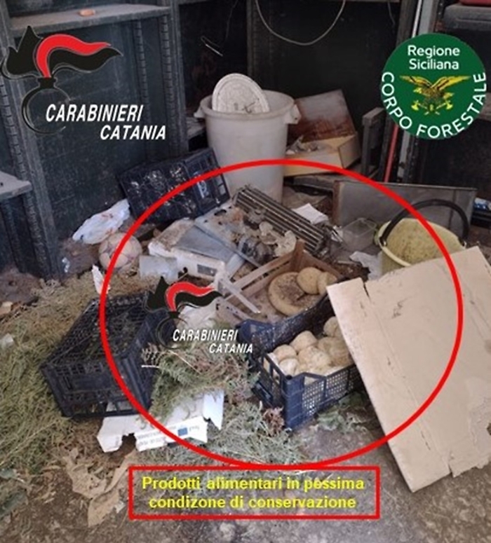 14 acireale+ forestale 3 (1)