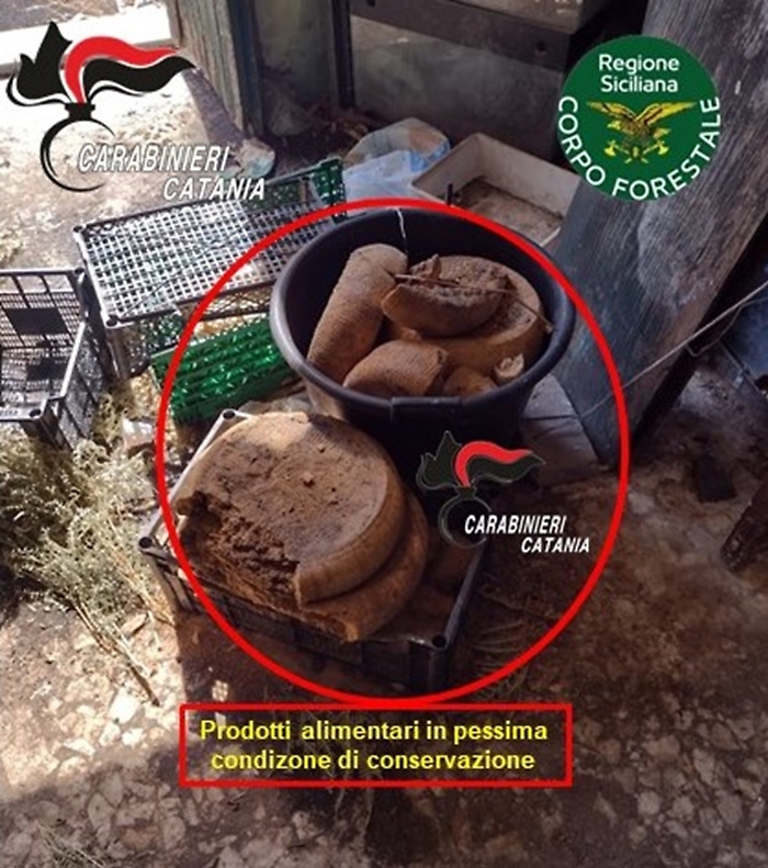 14.acireale+ forestale 1 (1)