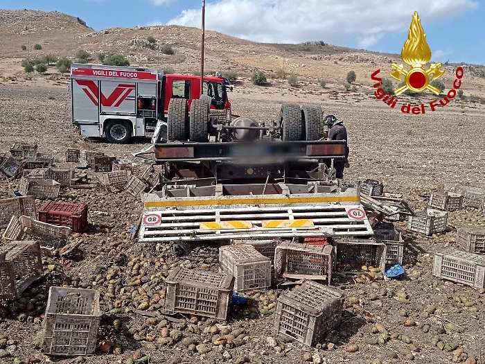 WhatsApp Image 2024-10-09 at 18.55.07