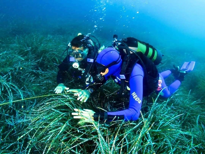 3 Subacqueo non vedente accompagnato dalla guida nel riconoscimento della posidonia
