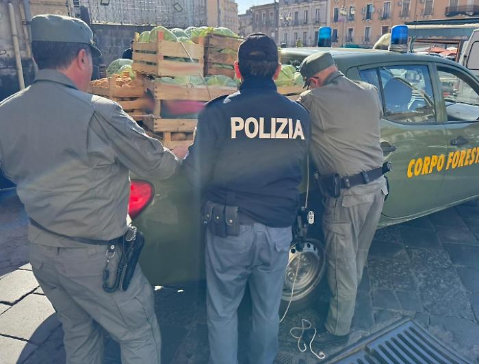 - TASK FORCE DELLA POLIZIA DI STATO, CONTROLLI A TAPPETO IN PIAZZA CARLO ALBERTO. SEQUESTRATI 1,5 TONNELLATA DI PRODOTTI NON TRACCIATI E OLTRE 600 CHILI DI PESCATO CONSERVATO IN PESSIMO