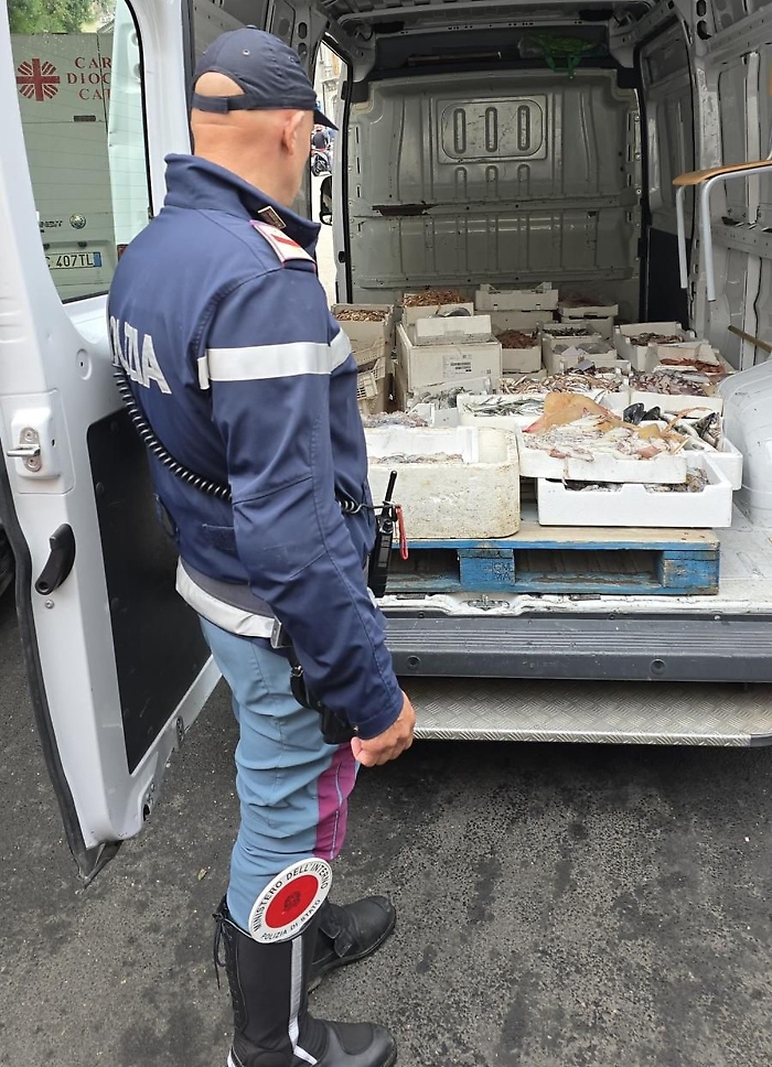 - TASK FORCE DELLA POLIZIA DI STATO NELLA PESCHERIA DI CATANIA, RILEVATE GRAVI IRREGOLARITA&rsquo;. SEQUESTRATI 600 KG DI PESCE, SANZIONI PER MIGLIAIA DI EURO 1