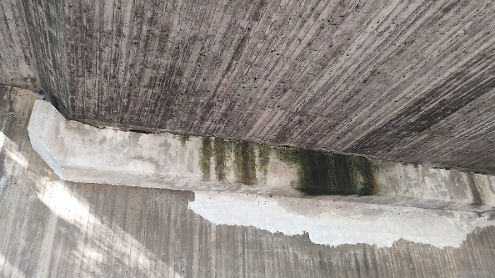 WhatsApp Image 2024-11-03 at 12.46.06