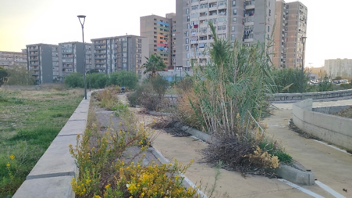 WhatsApp Image 2024-11-03 at 12.46.07 (2)