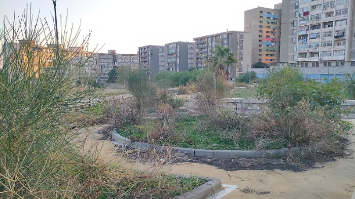 WhatsApp Image 2024-11-03 at 12.46.08