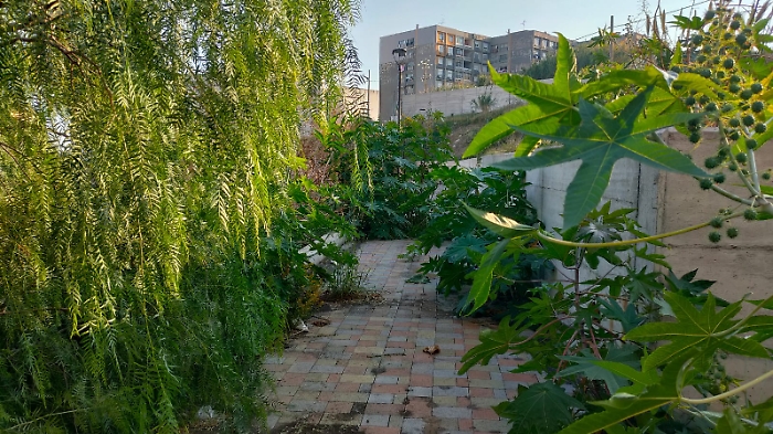 WhatsApp Image 2024-11-03 at 12.46.12