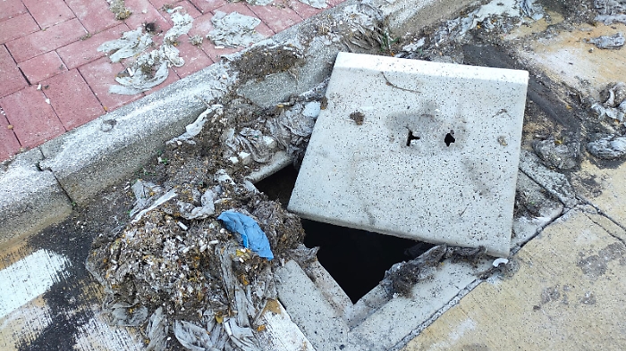 WhatsApp Image 2024-11-03 at 12.46.13