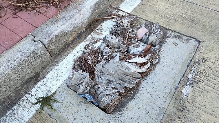 WhatsApp Image 2024-11-03 at 12.46.14