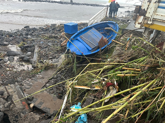 WhatsApp Image 2024-11-13 at 16.44.53