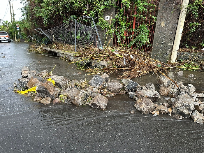 WhatsApp Image 2024-11-13 at 16.44.54 (2)