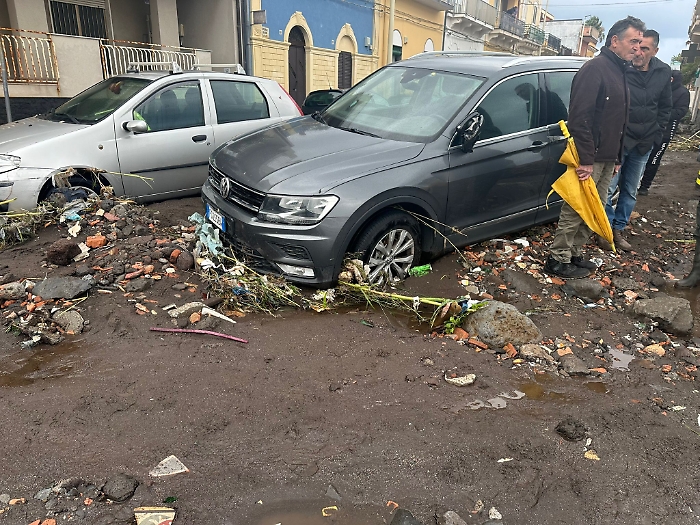 WhatsApp Image 2024-11-13 at 16.44.54