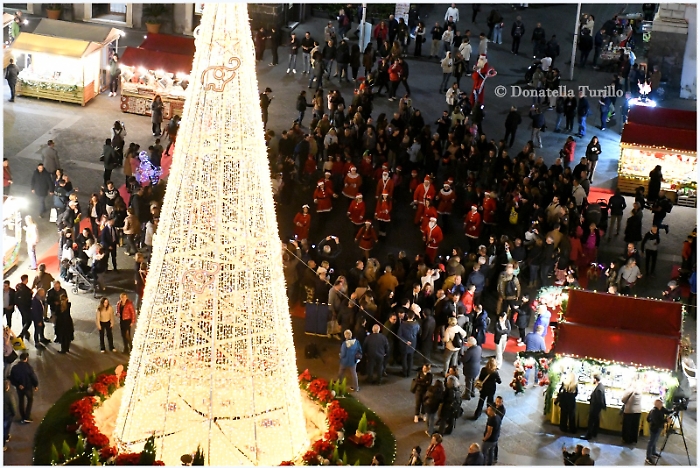 WhatsApp Image 2024-11-29 at 21.43.26 (8)