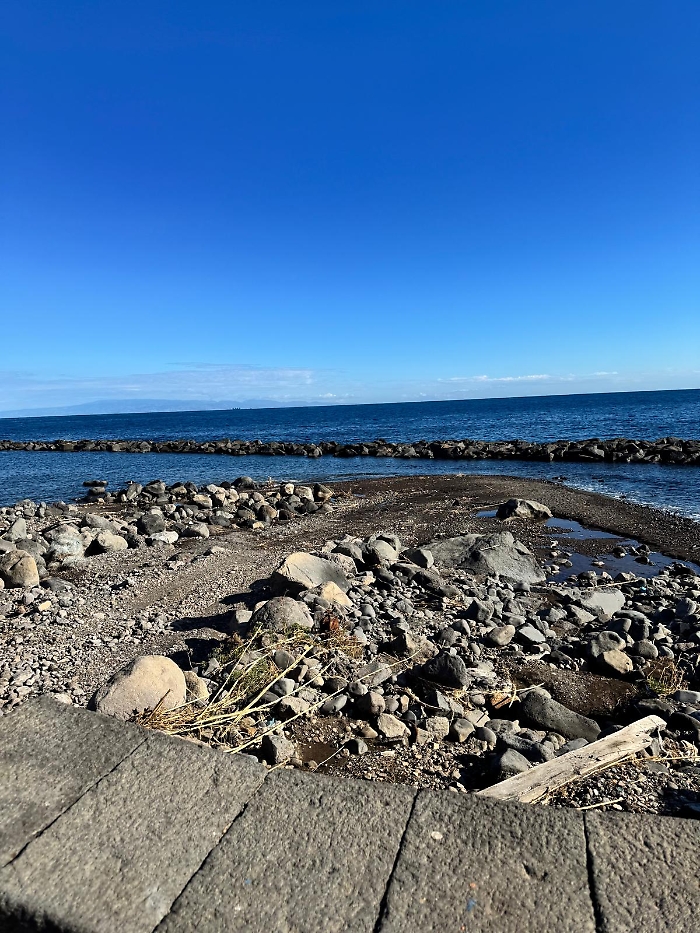 2d785cab-b92c-48e5-a396-9f7ce05e3b37