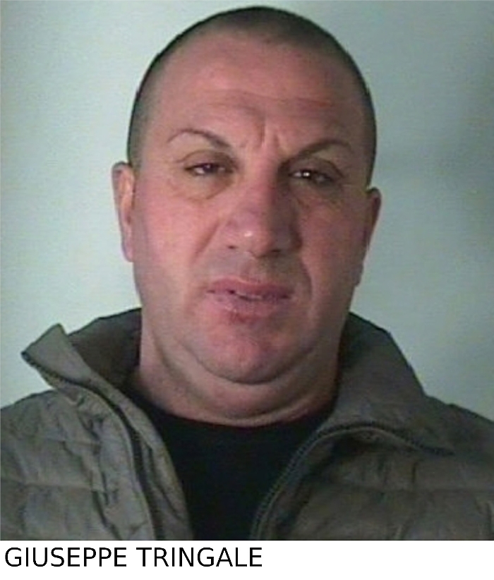 tringale1