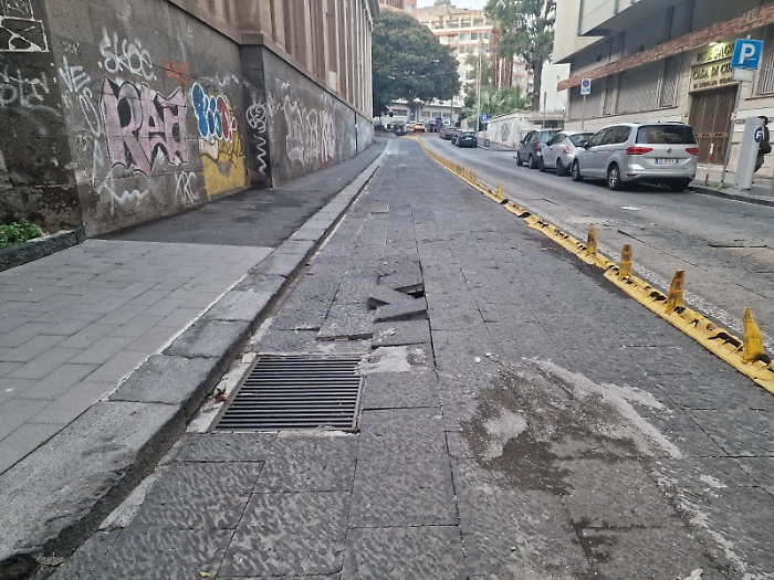 WhatsApp Image 2025-02-02 at 17.30.13