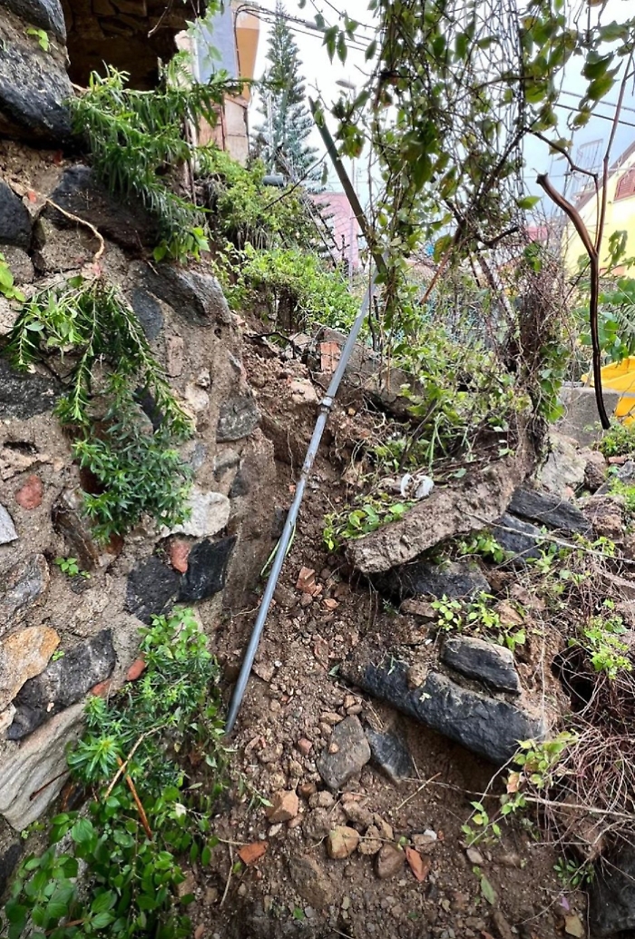 WhatsApp Image 2025-02-02 at 17.43.40 (1)x