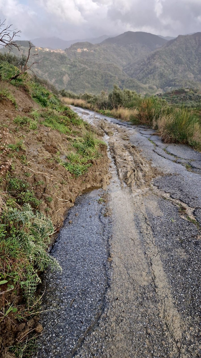 WhatsApp Image 2025-02-02 at 17.48.13x1