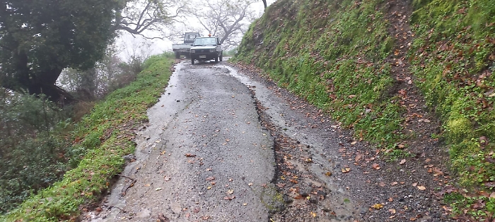 WhatsApp Image 2025-02-02 at 17.48.14