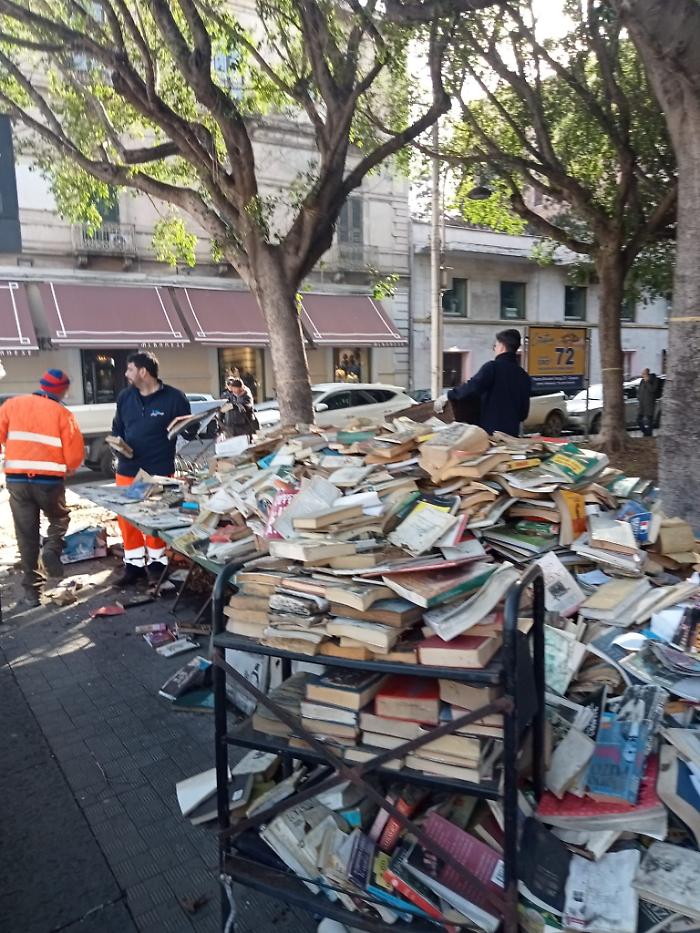 WhatsApp Image 2025-02-14 at 15.46.31