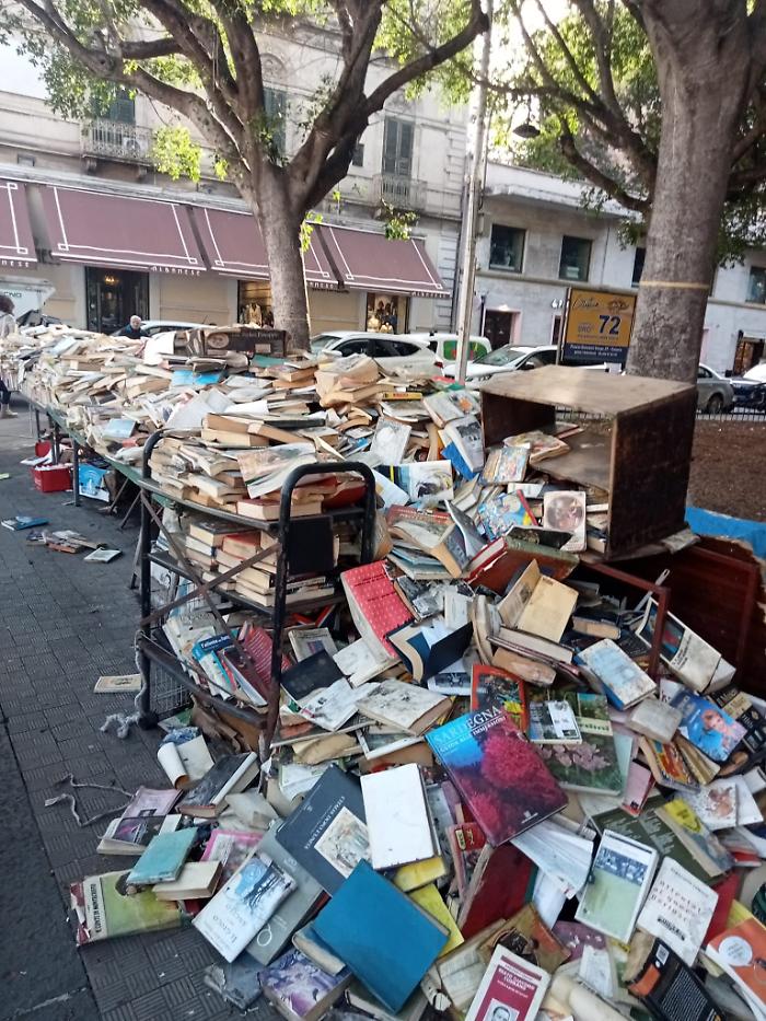 WhatsApp Image 2025-02-14 at 15.46.32 (2)