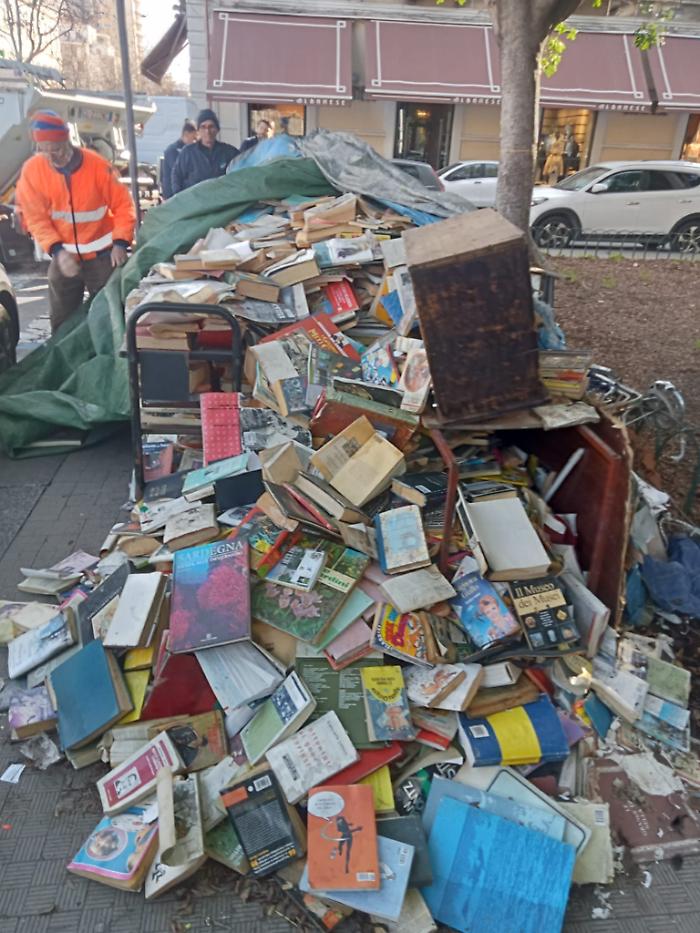 WhatsApp Image 2025-02-14 at 15.46.33