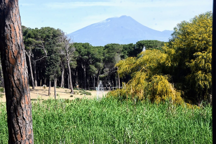 1D7CE66C-C86E-4E81-B8E6-576200553A7F