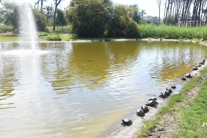 42D71FCC-8EBA-4F97-9CB2-4B68AFB0FFC0