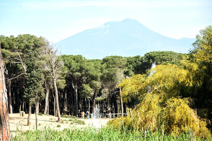 7831C21C-E259-43F7-A3EC-F22C4EF3B19C