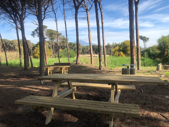 DFF91FCE-C168-40C7-8B52-6479C6E3B2C9