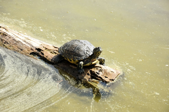 F015DF54-C94F-4D76-8045-341A1B384550