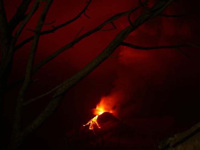 Immagine WhatsApp 2025-04-22 ore 21.24.04_c34d8b27