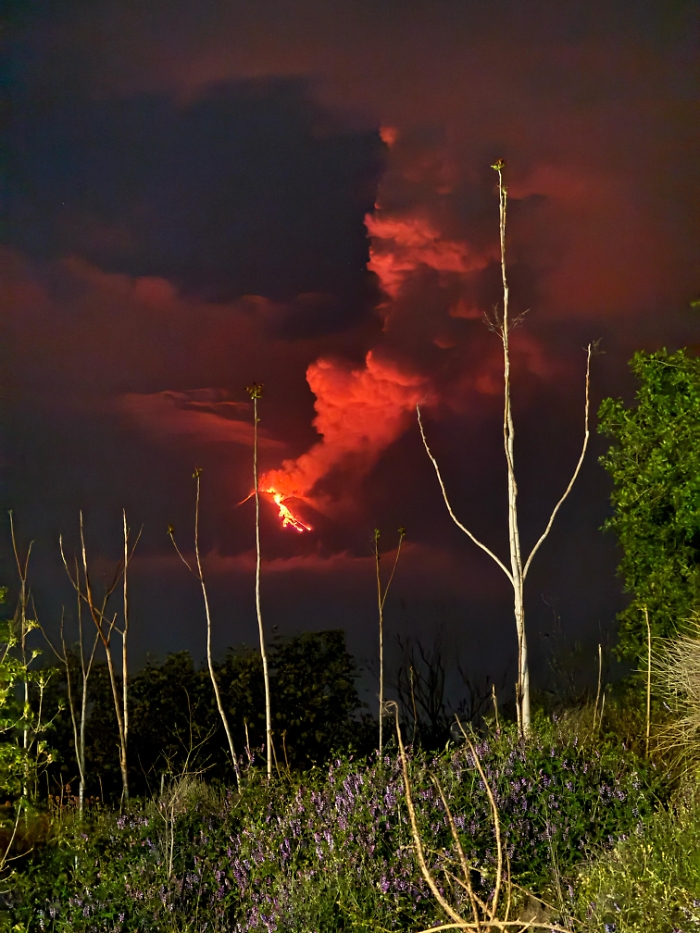 Immagine WhatsApp 2025-04-22 ore 21.29.19_beb1854e