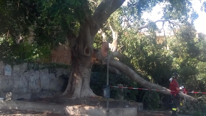 16 settembre 2016 crollo via sebastiano Catania