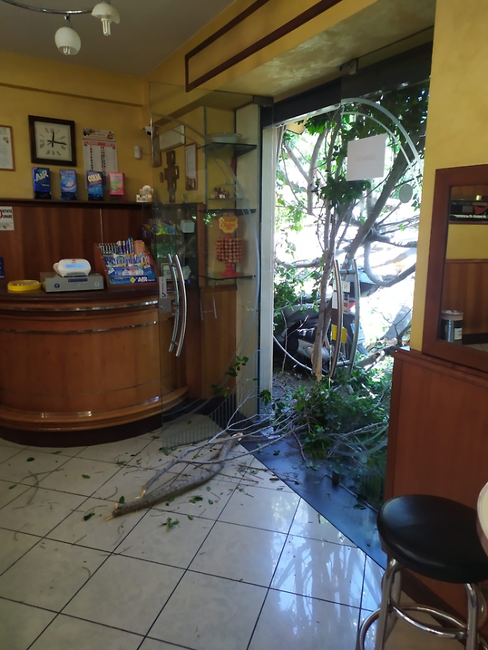 30 MAGGIO 2025 albero crolla in via Sebastiano Catania (1)